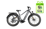 ALPHA Ebike