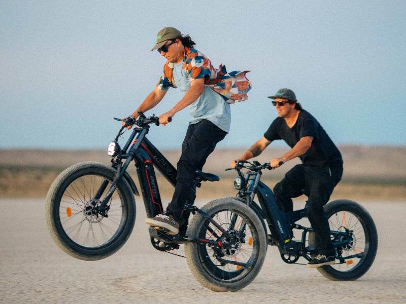 Alaska Pro M-520 Ebike
