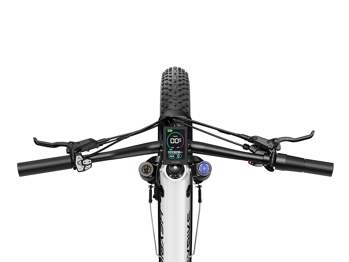 ALPHA Ebike