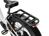 ALPHA Ebike
