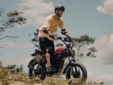 Cheetah MT-380 Ebike