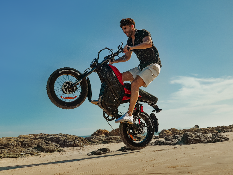 Cheetah MT-380 Ebike