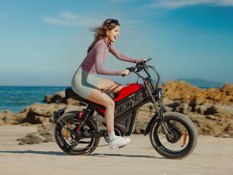 Cheetah MT-380 Ebike