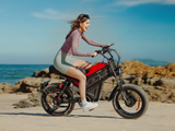 Cheetah MT-380 Ebike