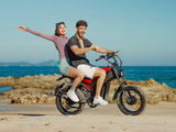 Cheetah MT-380 Ebike
