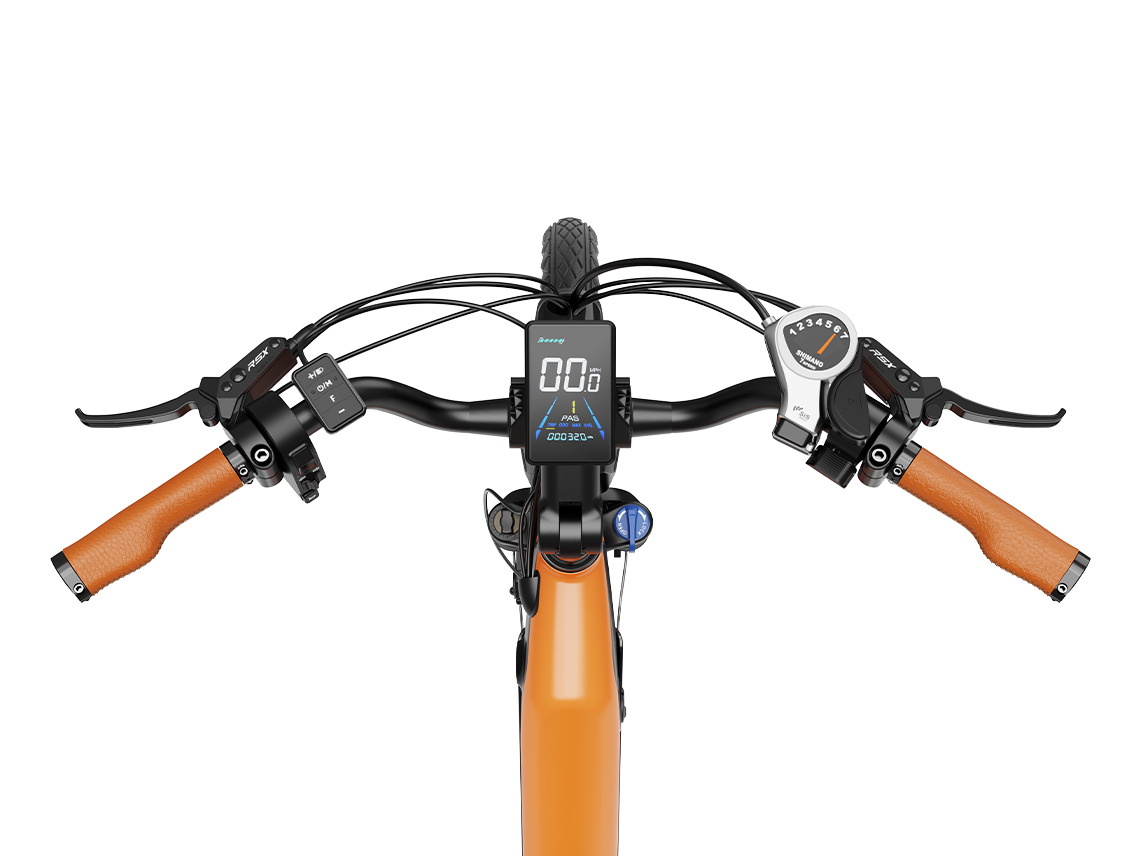Cityrun Ebike