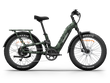 Himiway D5 2.0 Camo eBike