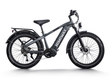 Himiway D5 Pro All-terrain Electric Fat Bike