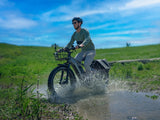 Himiway D5 Zebra side