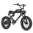 Meelod DK300PLUS Ebike