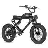 Meelod DK300PLUS Ebike