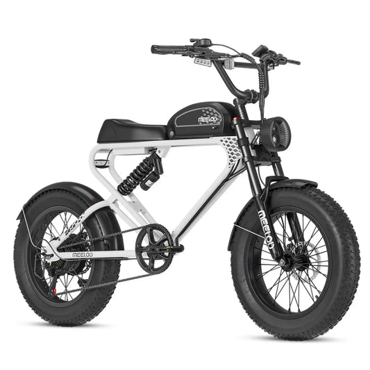 Meelod DK300PLUS Ebike