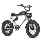 Meelod DK300PLUS Ebike