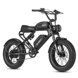 Meelod DK300PRO Ebike