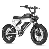 Meelod DK300PRO Ebike