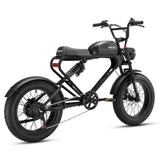 Meelod DK300PLUS Ebike