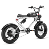 Meelod DK300PLUS Ebike