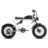 Meelod DK300PLUS Ebike