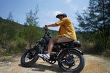 Tamobyke T73 Pro Max Electric Bike