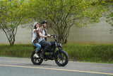 Tamobyke T73 Electric Bike