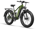 Eurostar Ultra M-410 Ebike