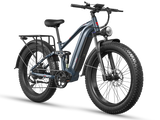 Eurostar Ultra M-410 Ebike