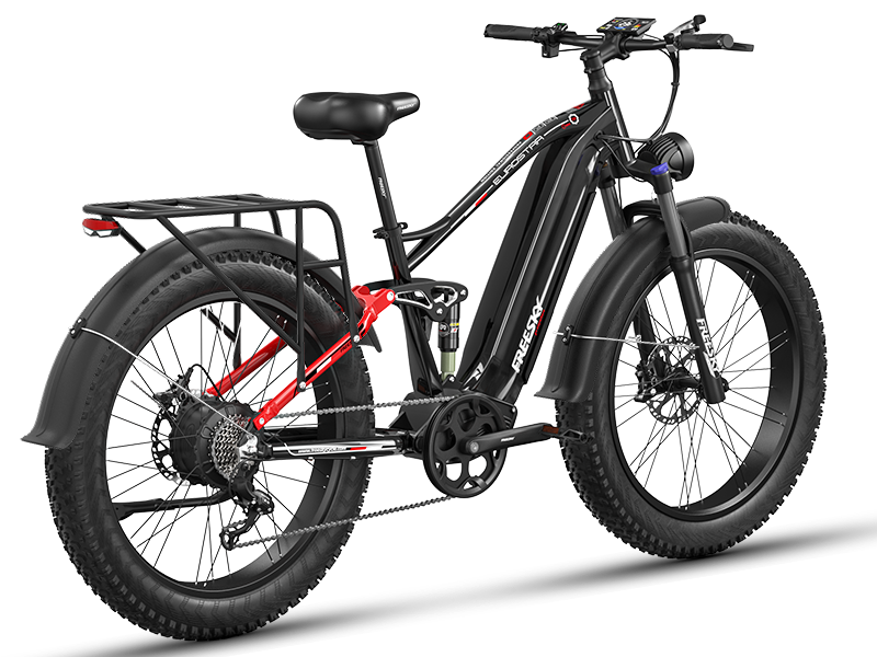 Eurostar Ultra M-410 Ebike