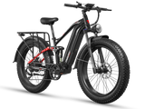 Eurostar Ultra M-410 Ebike