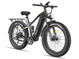 Eurostar Ultra M-410 Ebike