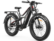 Swift Horse Pro X-6E Ebike