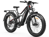 Swift Horse Pro X-6E Ebike