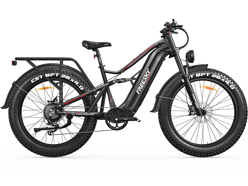 Swift Horse Pro X-6E Ebike