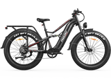Swift Horse Pro X-6E Ebike