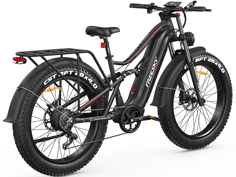 Swift Horse Pro X-6E Ebike