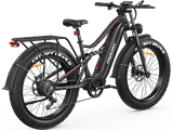 Swift Horse Pro X-6E Ebike