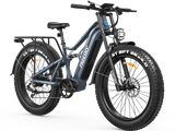 Swift Horse Pro X-6E Ebike
