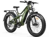 Swift Horse Pro X-6E Ebike