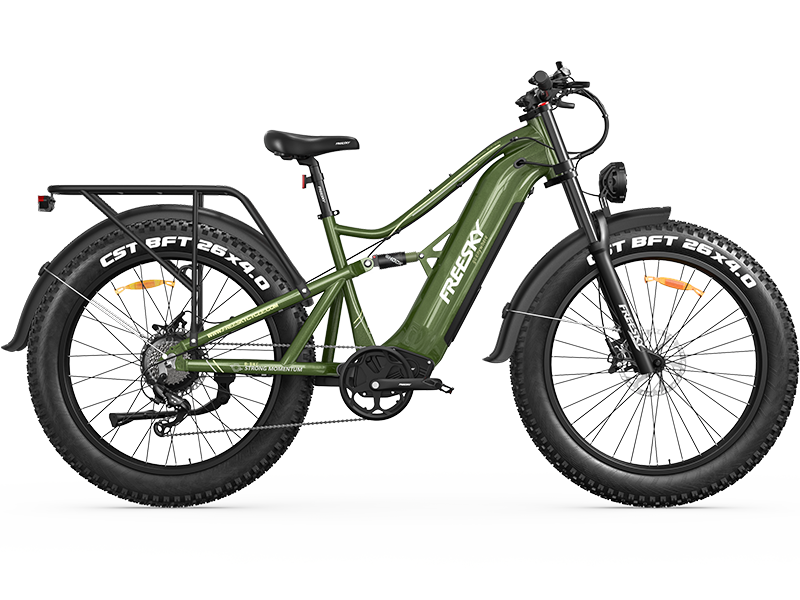 Swift Horse Pro X-6E Ebike