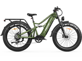 Swift Horse Pro X-6E Ebike
