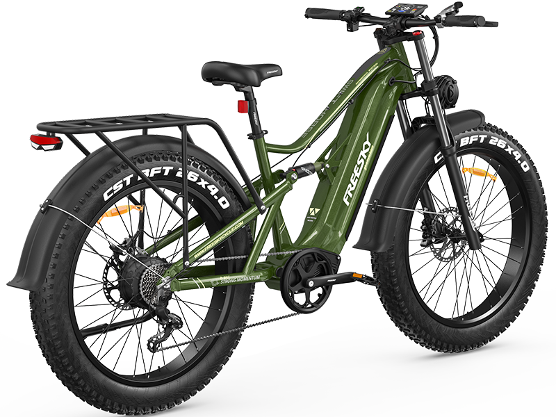 Swift Horse Pro X-6E Ebike