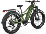 Swift Horse Pro X-6E Ebike