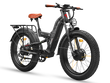 Warrior Pro M-530 Ebike