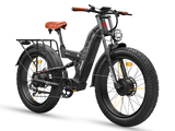 Warrior Pro M-530 Ebike