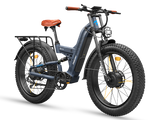 Warrior Pro M-530 Ebike