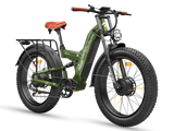 Warrior Pro M-530 Ebike