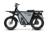 GT53 Cargo eBike