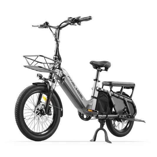 COSWHEEL HQ20 Electric Cargo Bike