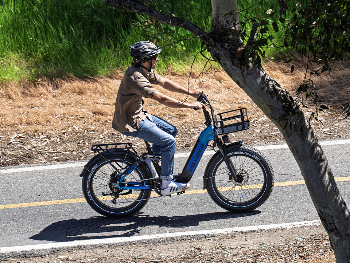 Horizon Ebike