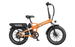Pumpkin Orange