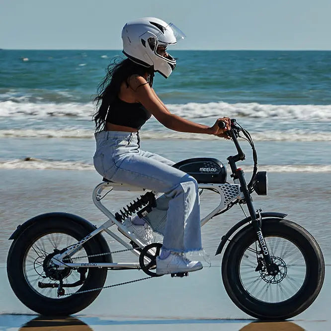 Meelod DK300PLUS Ebike
